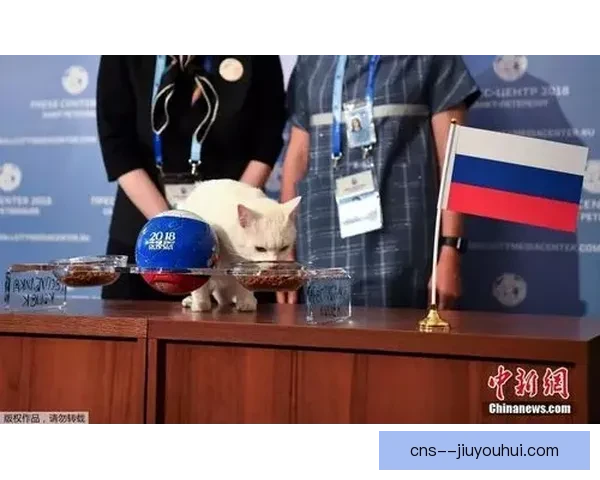 2026世界杯将引入生物识别技术提升安检效率和观赛体验